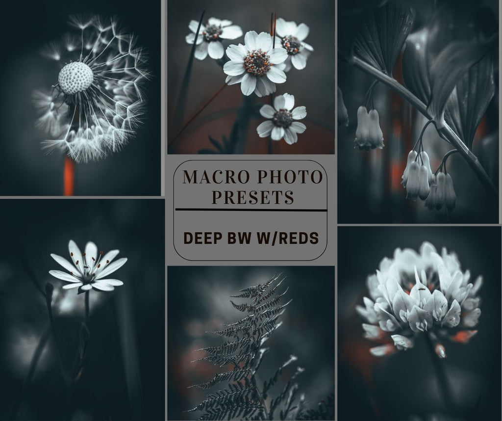 MPP - Deep BW with Reds Preset Pack