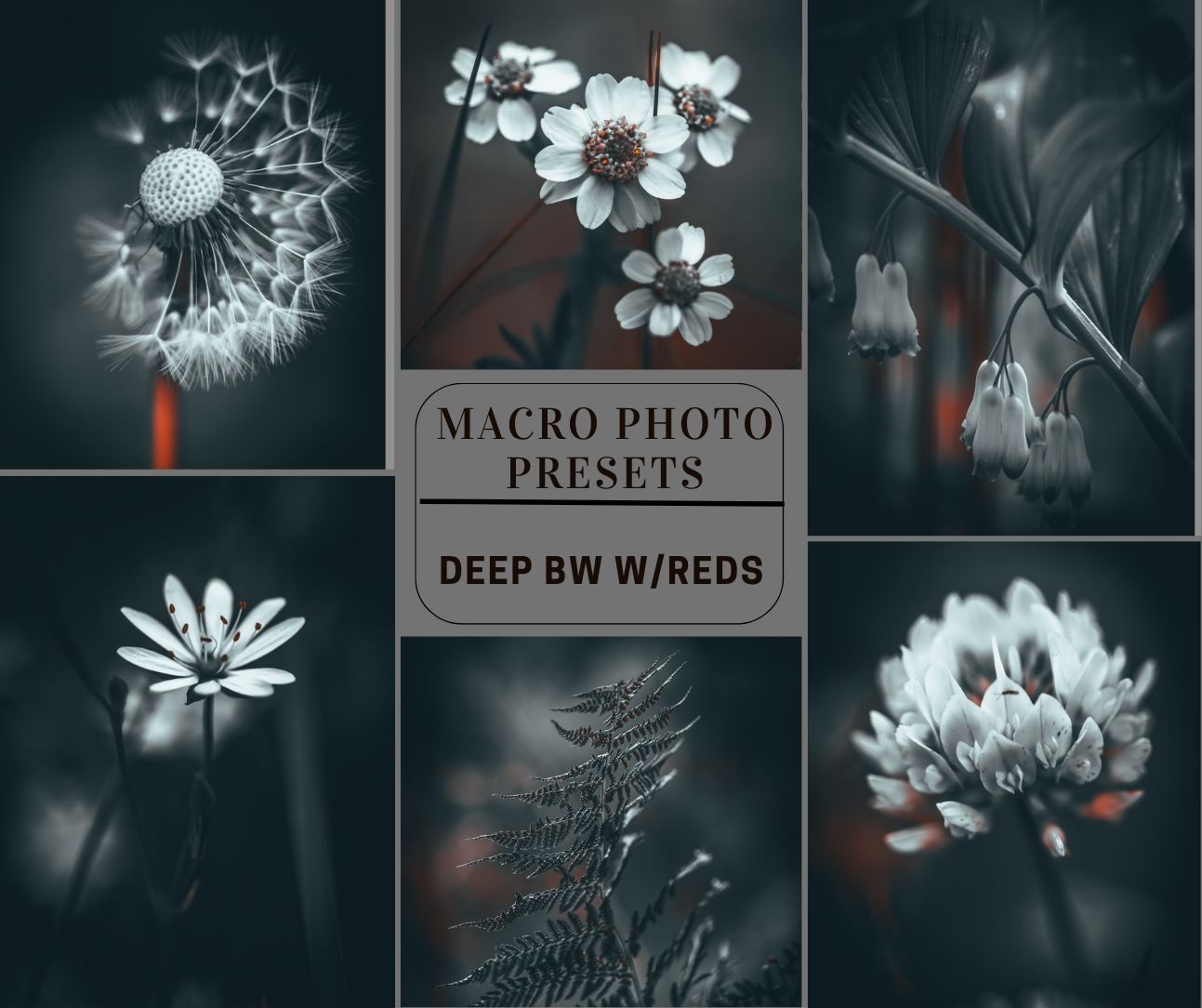 MPP - Deep BW with Reds Preset Pack