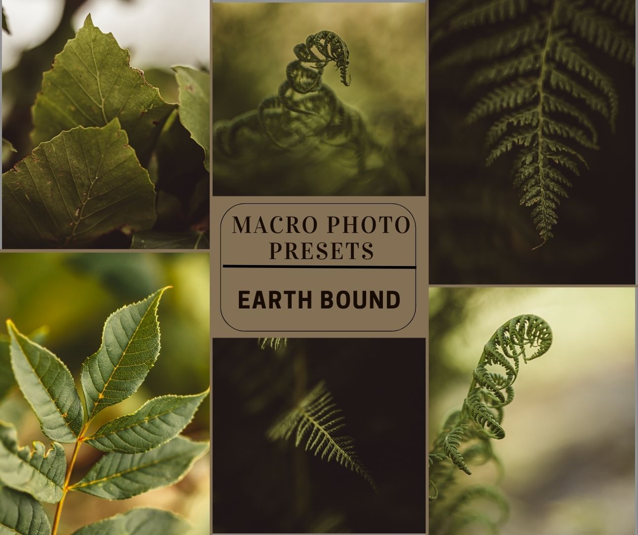 MPP - Earth Bound Preset Pack
