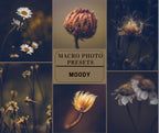 MPP - Moody Preset Pack