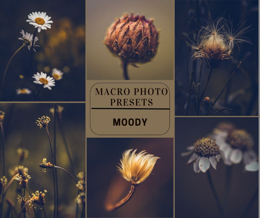 MPP - Moody Preset Pack