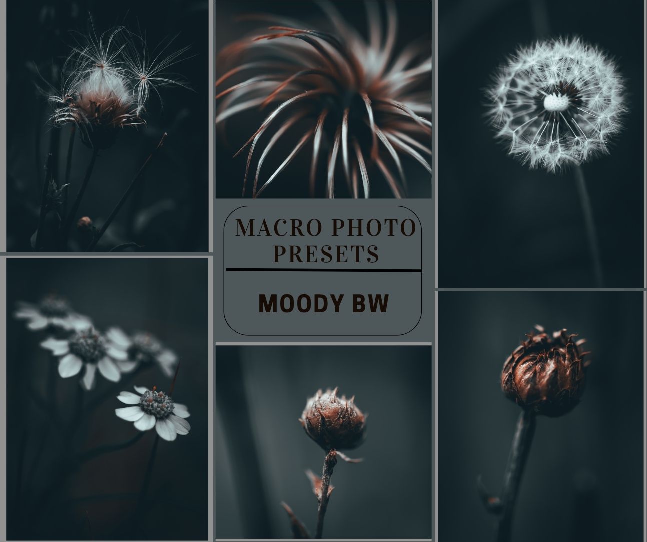 MPP - Moody BW Preset Pack