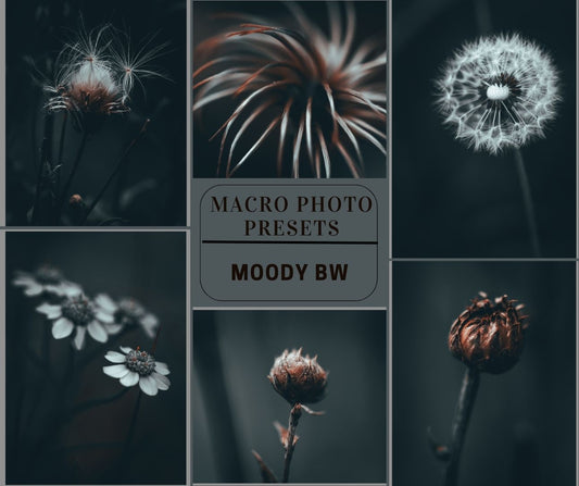 MPP - Moody BW Preset Pack