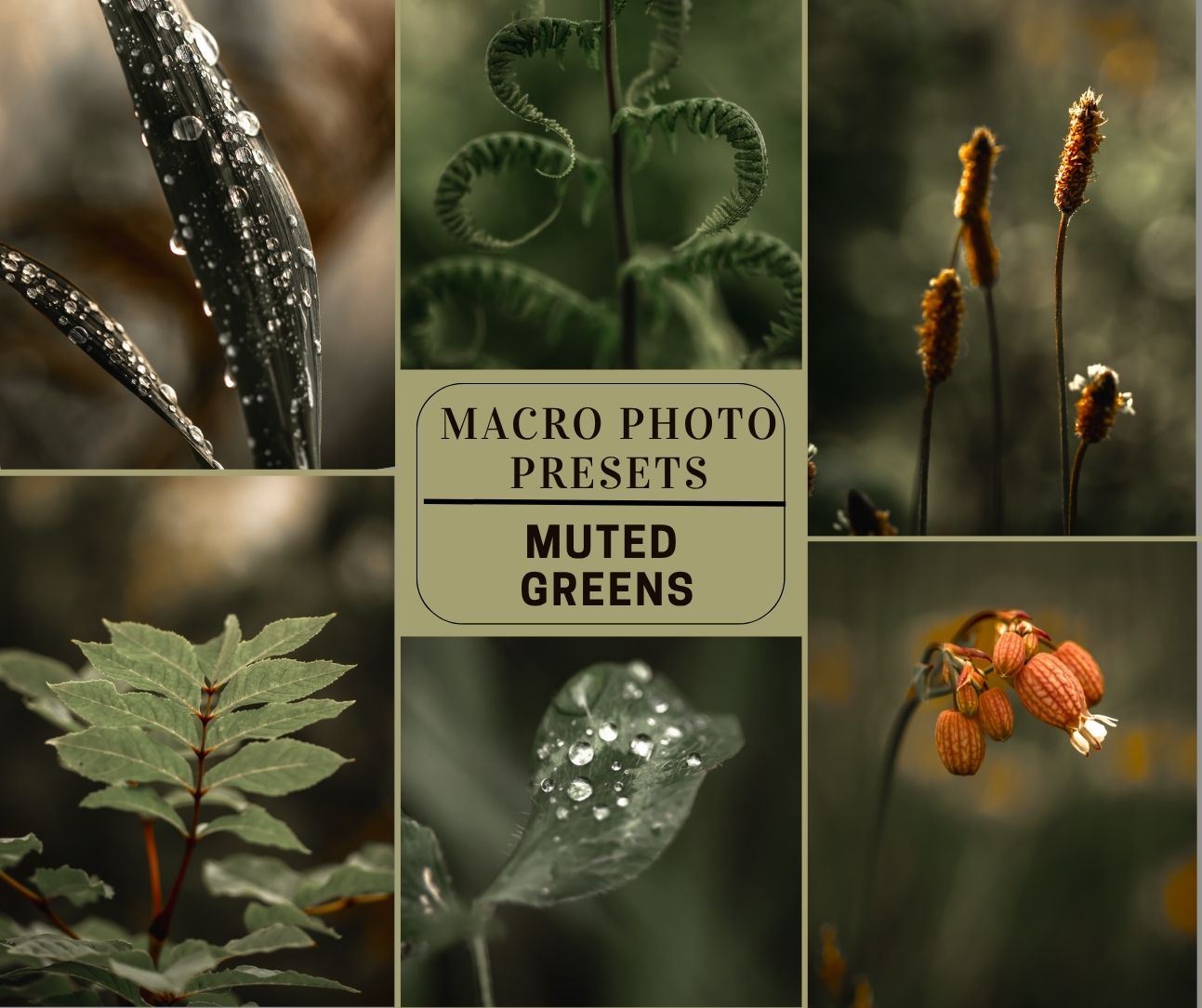 MPP - Muted Greens Preset Pack
