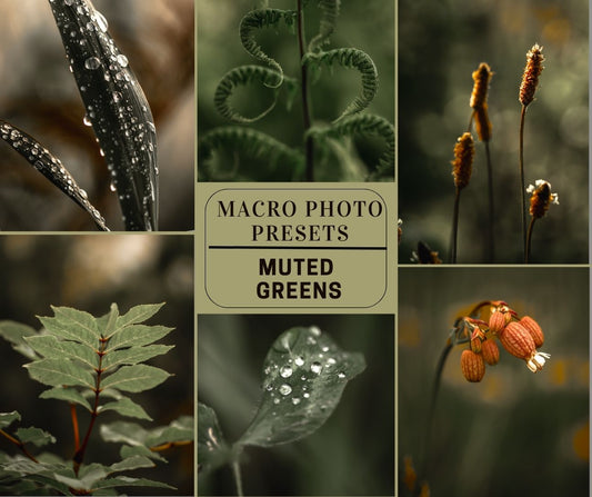 MPP - Muted Greens Preset Pack