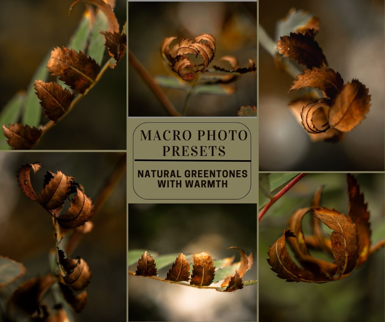 MPP - Natural Greentones with Warmth Preset Pack