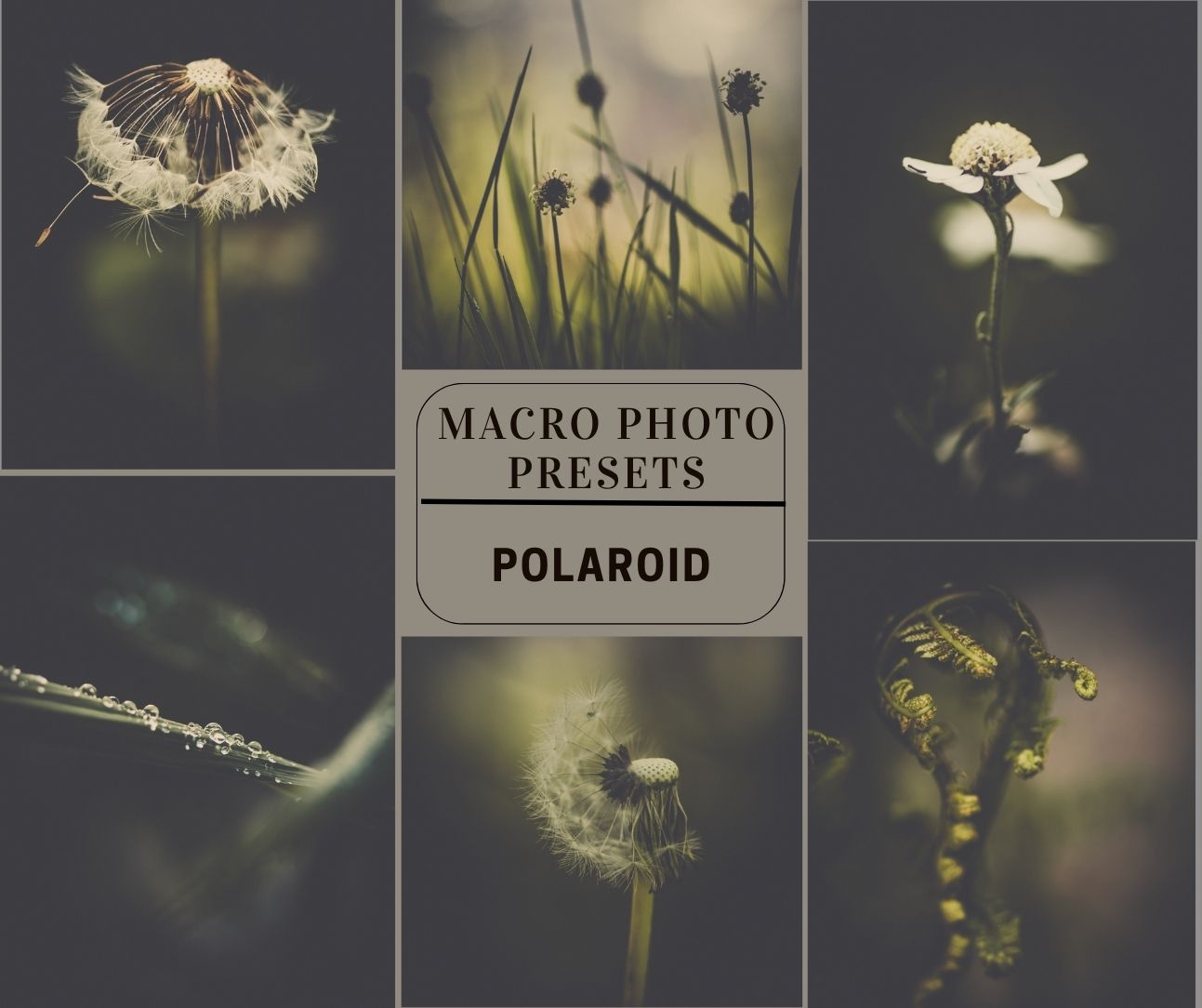 MPP - Polaroid Preset Pack