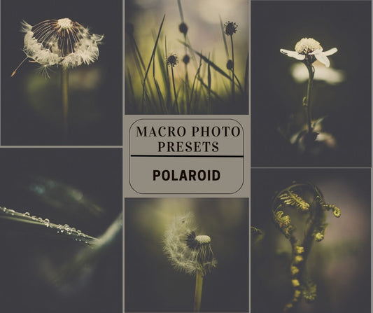 MPP - Polaroid Preset Pack