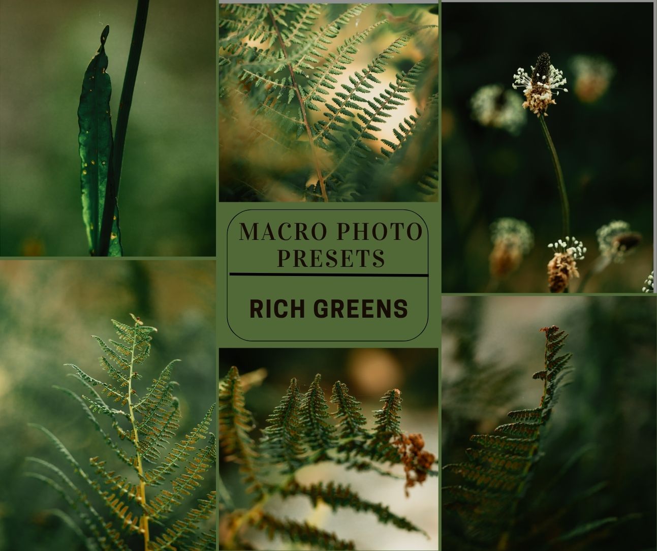 MPP - Rich Greens Preset Pack
