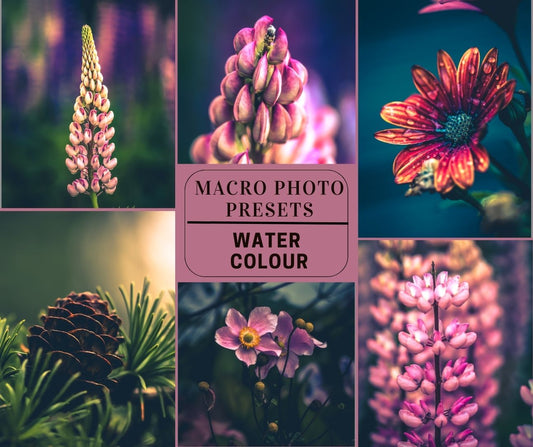 MPP - Water Color Preset Pack