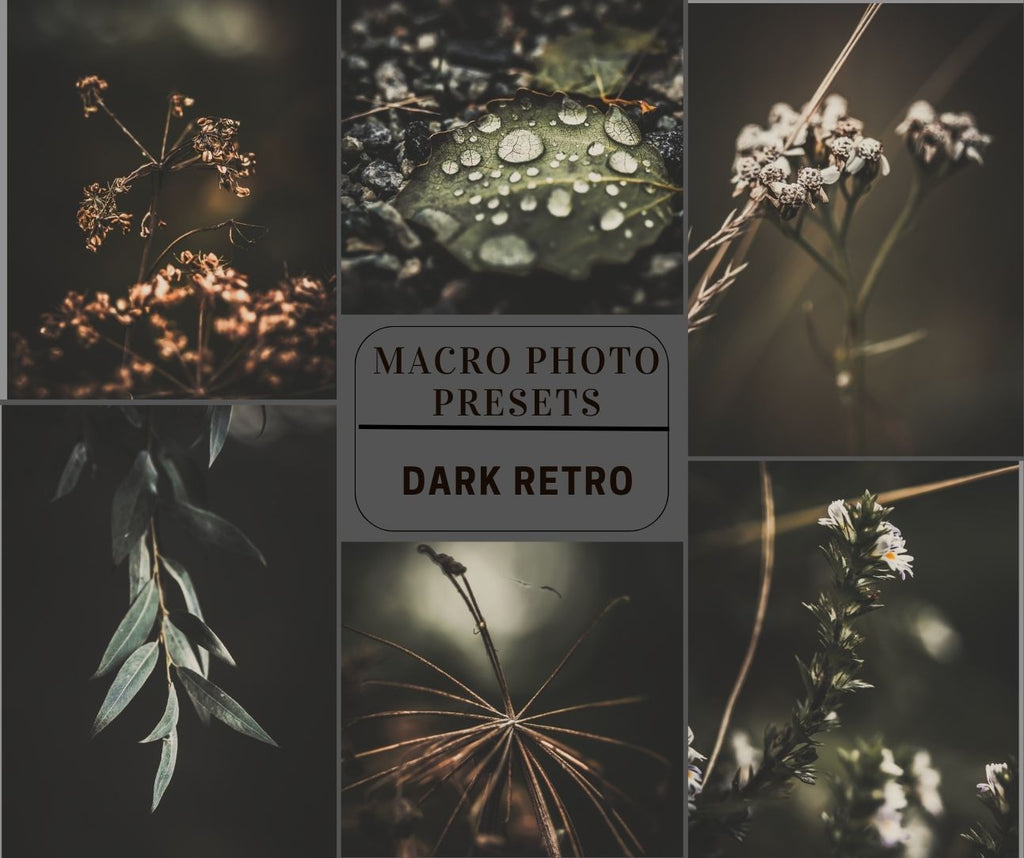 MPP - Signature Collection - ALL Preset Packs