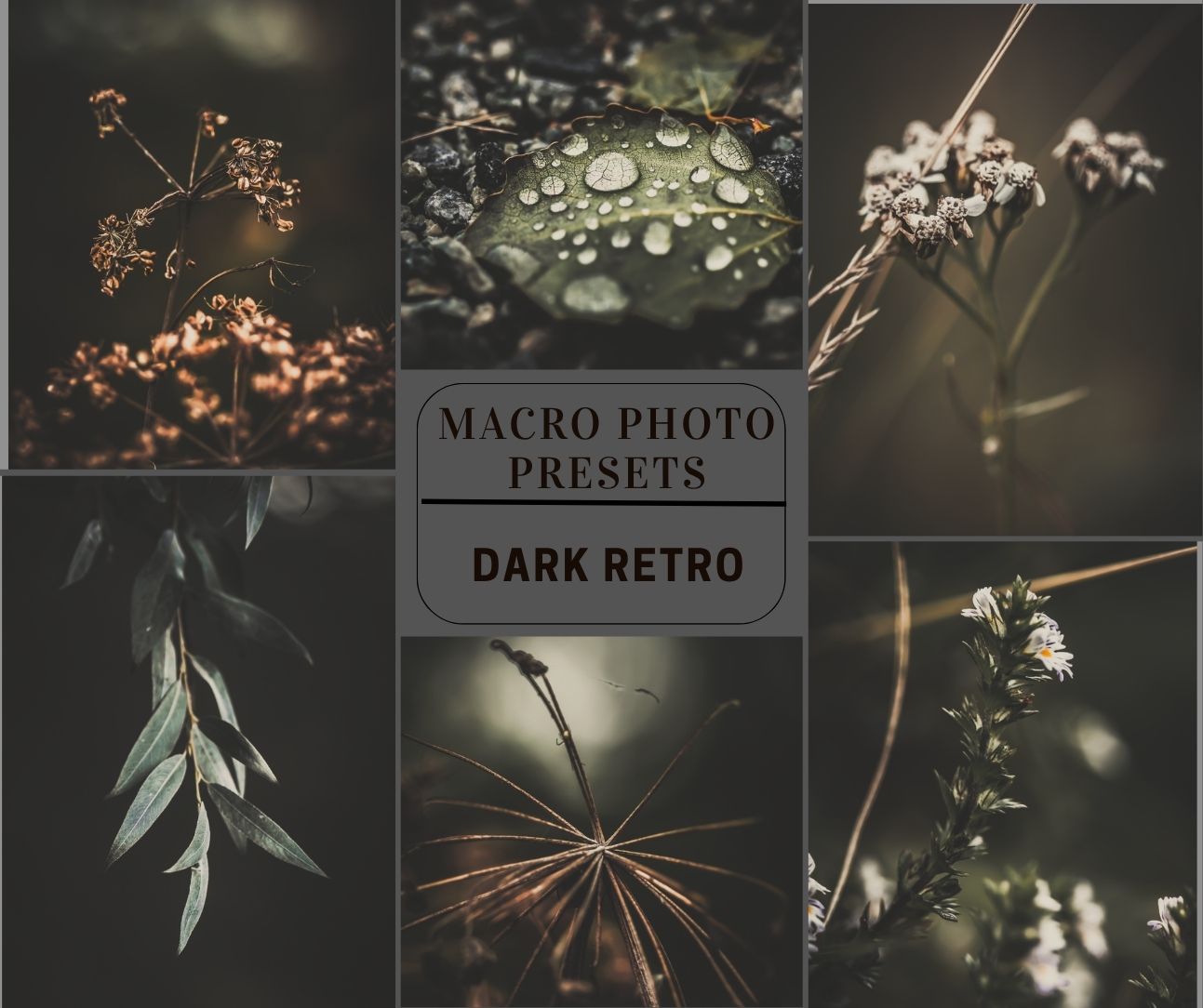 MPP - Signature Collection - ALL Preset Packs