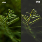MPP - Dark Retro Greens Preset Pack