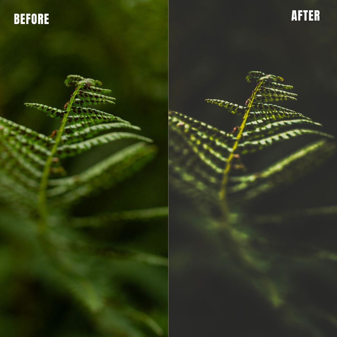 MPP - Dark Retro Greens Preset Pack