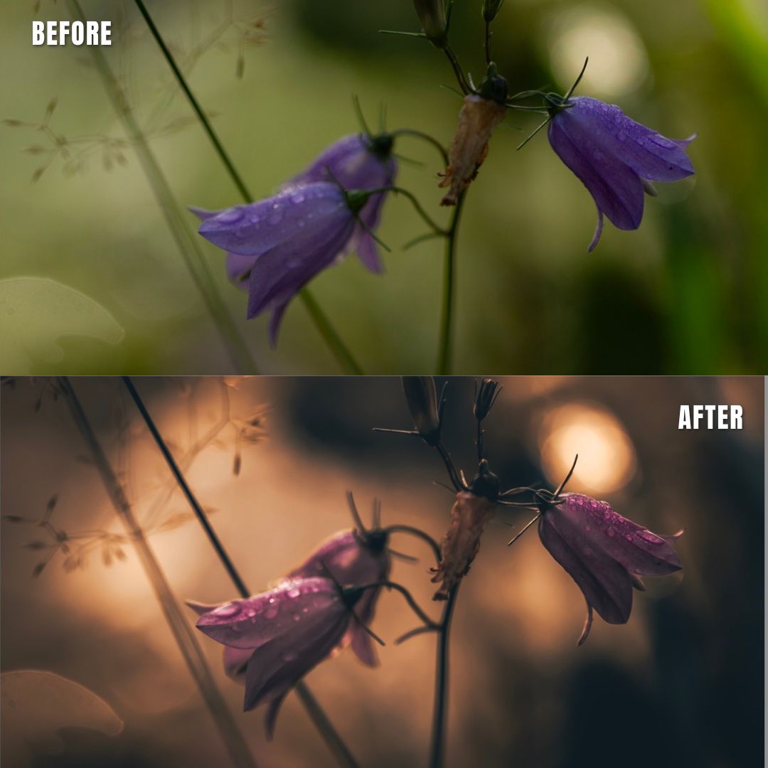 MPP - Golden Brownie Preset Pack