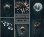 MPP - Signature Collection - ALL Preset Packs