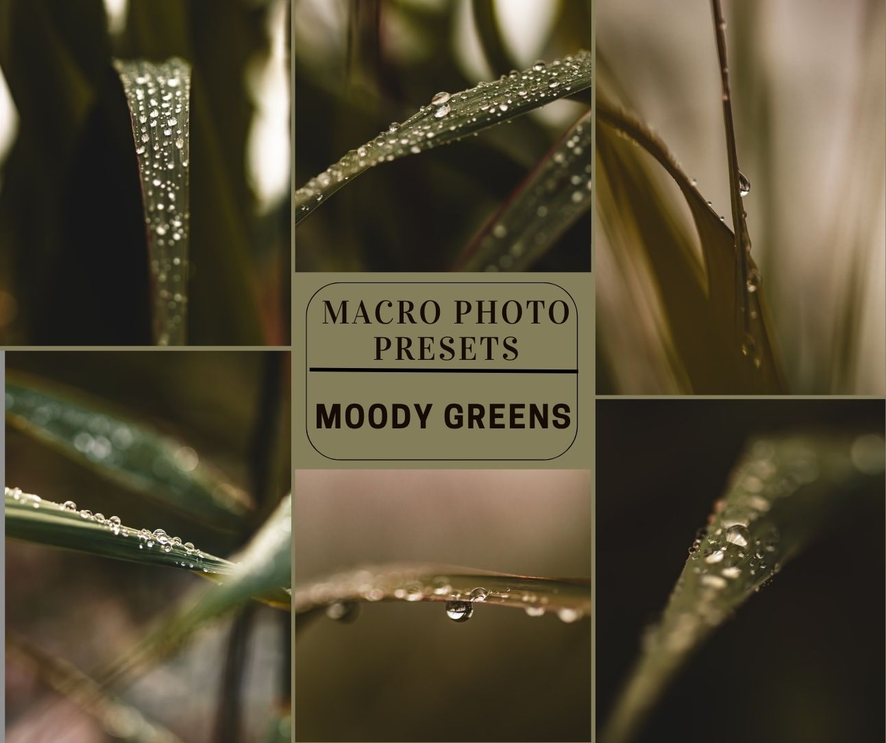 MPP - Signature Collection - ALL Preset Packs