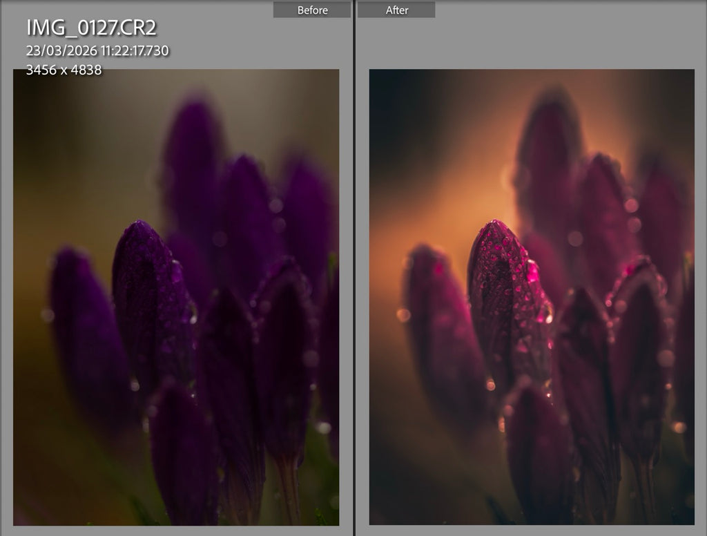 MPP - Golden Brownie Preset Pack