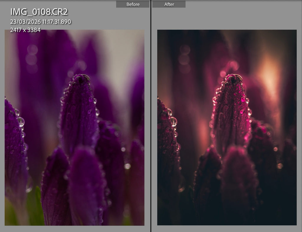 MPP - Golden Brownie Preset Pack