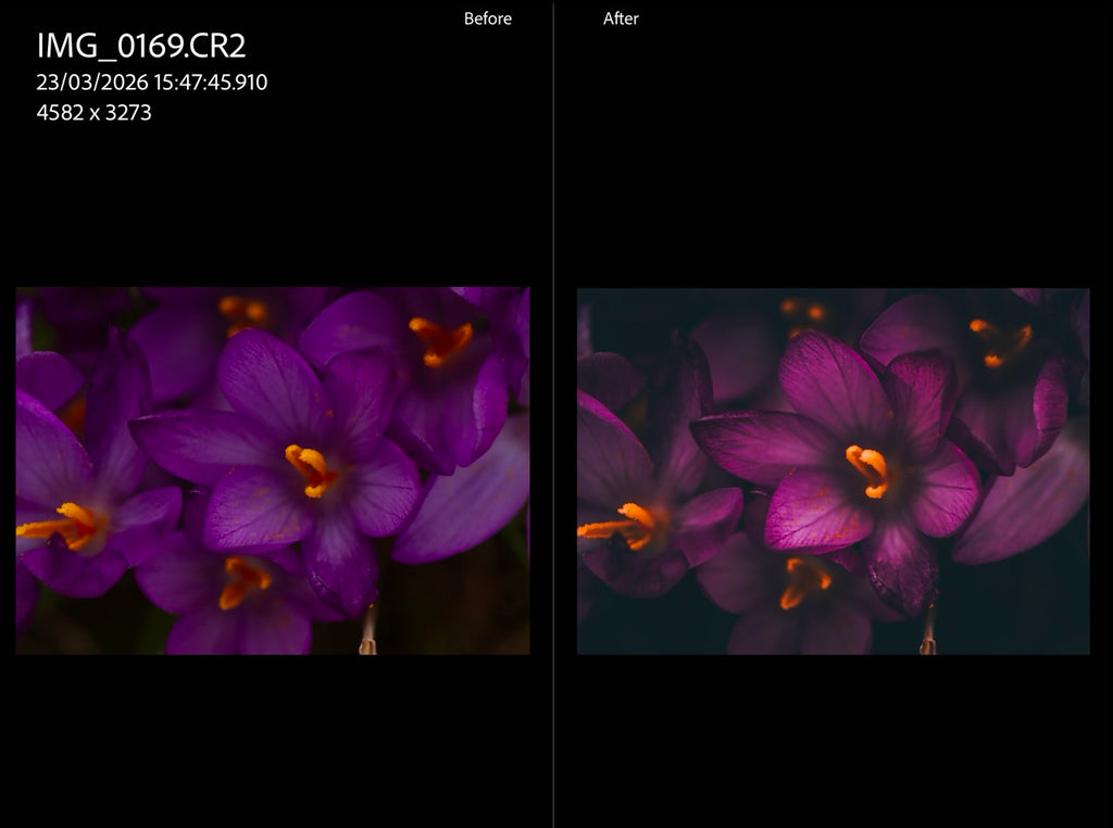 MPP - Moody BW Preset Pack