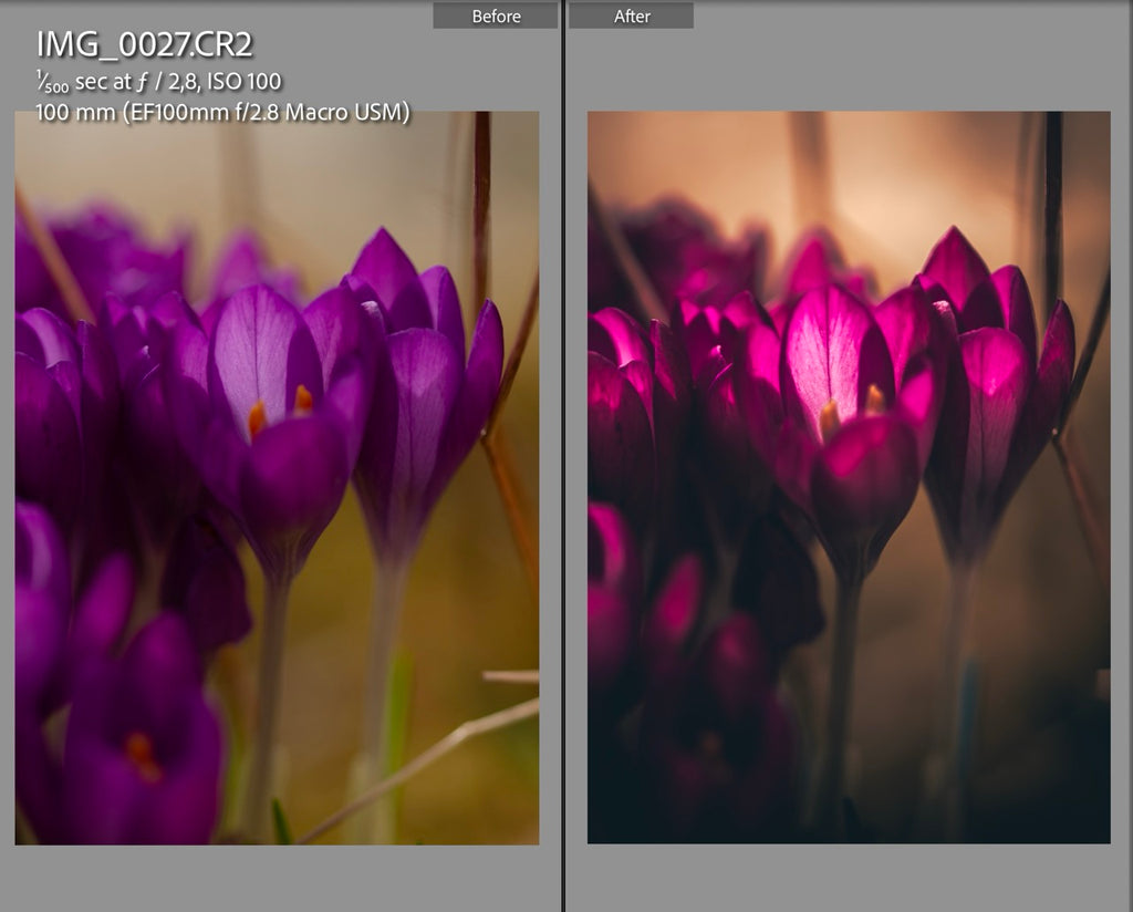 MPP - Brownie Preset Pack